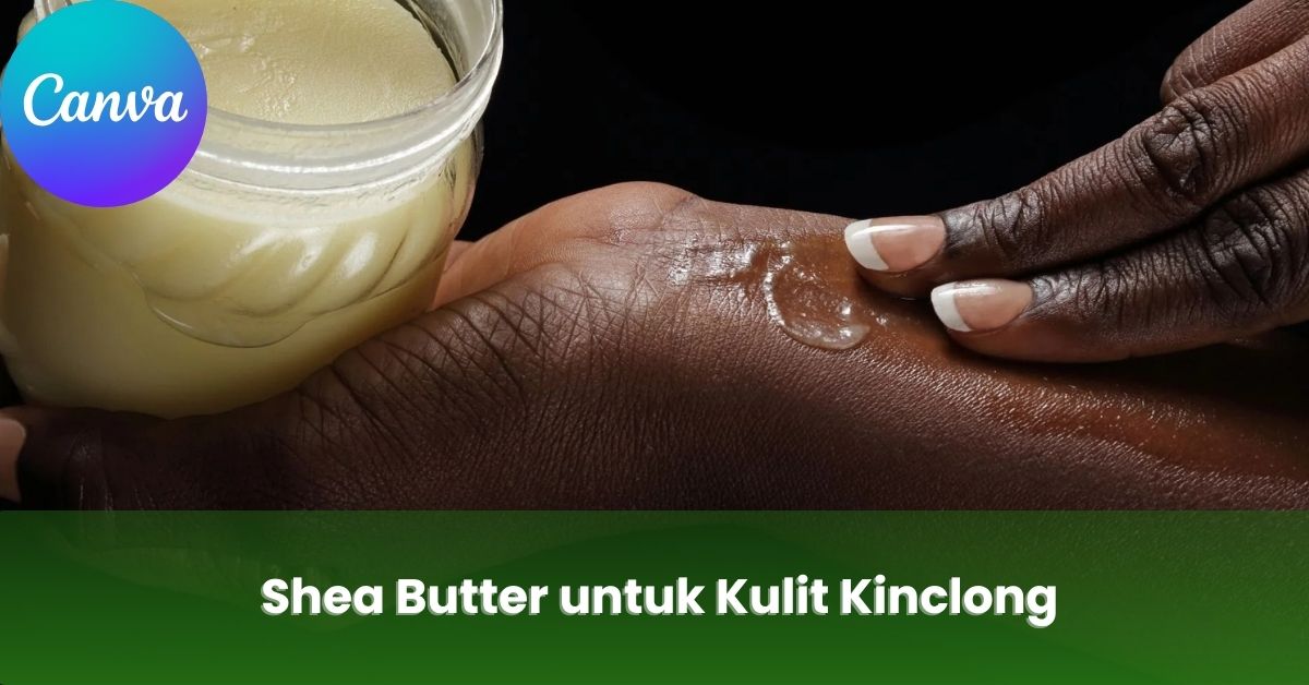 Shea Butter untuk Kulit Kinclong